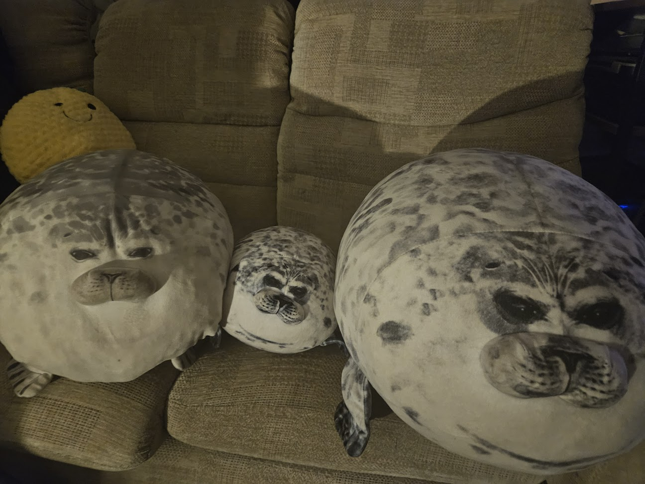 qrkp18efy64a.png
