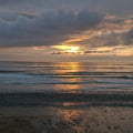 SunsetDucky