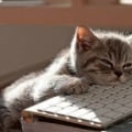 so_very_tired